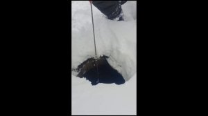 Ребёнок провалился в канализационный люк