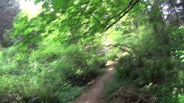 КОП на Тропинках, Поиск Монет с Металлоискателем, Металлопоиск, Металлодетектор, Жизнь в США 2015 смотреть онлайн