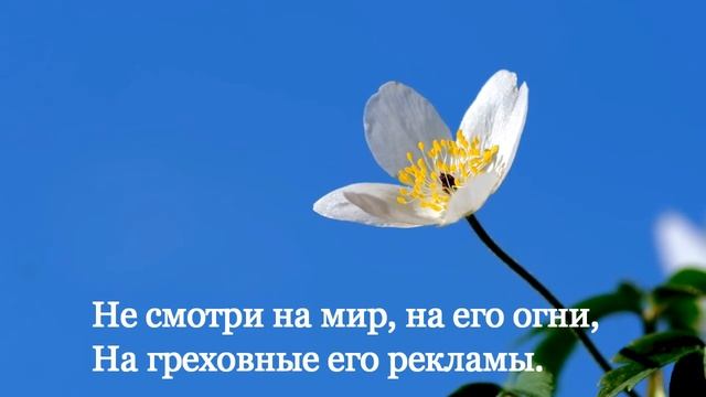 ??Песня ,,У Креста спасение." Brat Bruder. смотреть онлайн