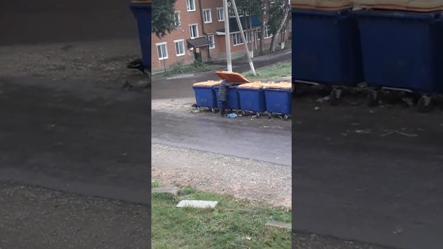 Бабушка под дождём ищет в мусорке еду. Что ее заставило? государство обеспечивает наших пенсионеров смотреть онлайн