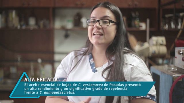 INVESTIGA A LA PLANTA 