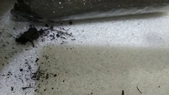 Получила розы и ромашки. Обзор посылки. смотреть онлайн