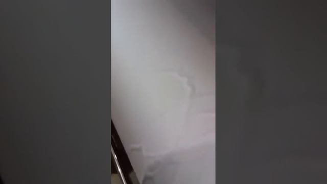 Живой Oracal смотреть онлайн