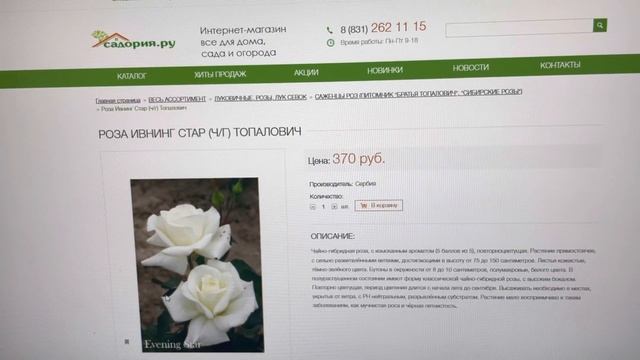 Урок 33. Розы. Как посадить розу. смотреть онлайн