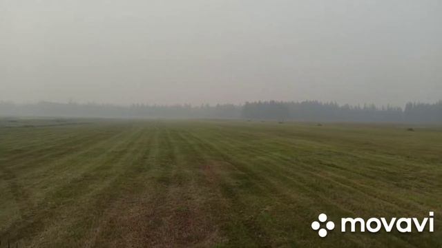 Сенокос Кэтит 2021 год. смотреть онлайн