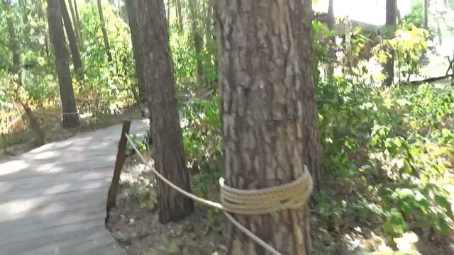 ВЛОГ. Парк динозавров, затерянный мир! VLOG. The dinosaur Park, the lost world! смотреть онлайн