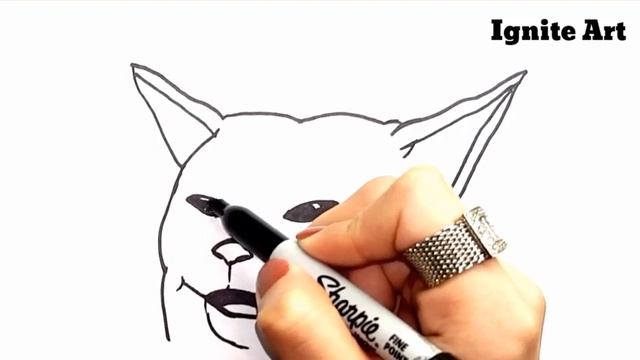 WHITE CAT MEME ~ How To Draw EASY! смотреть онлайн