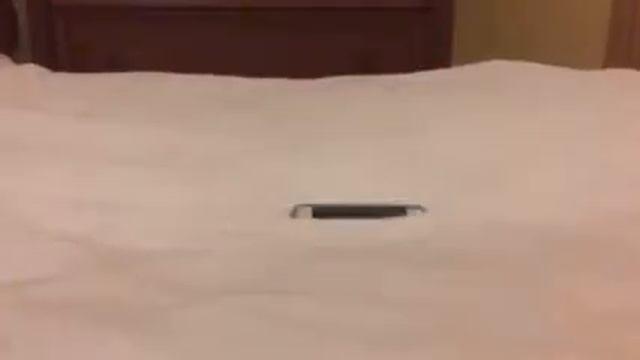 iPod 6 drop test смотреть онлайн