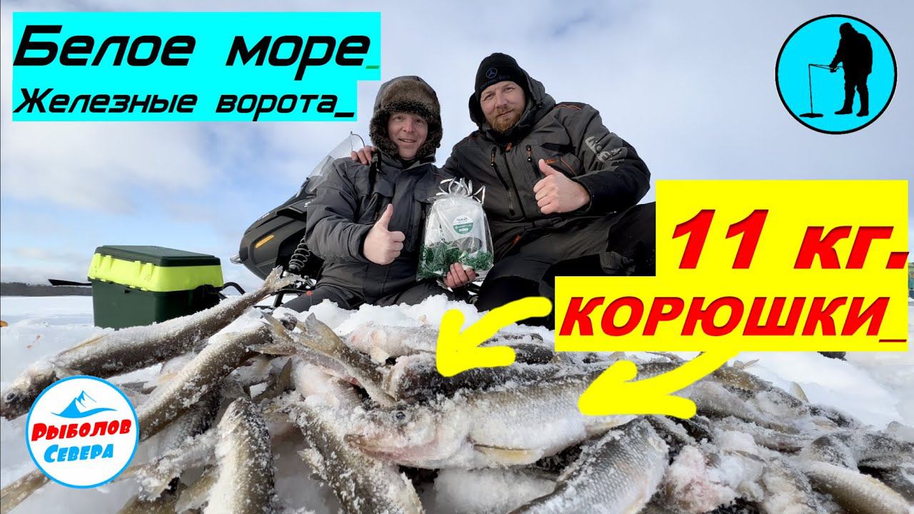 ✅ РЫБАЛКА НА КОРЮХА В БЕЛОМ МОРЕ #Рыболов_севера 23 февраля смотреть онлайн