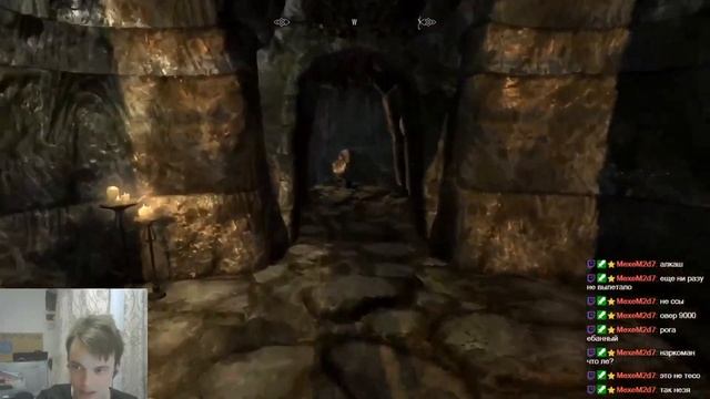 Медведь, бабочка, сова смотреть онлайн