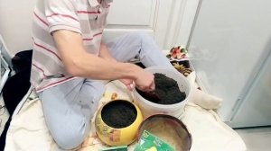 Тюльпаны на лоджии(балконе) к 8 марта-это просто.Пошагово.