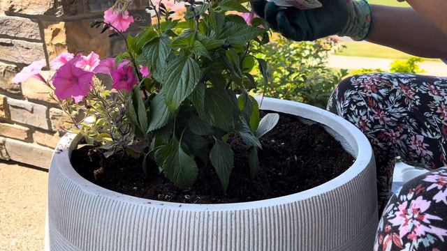 DIY planter project | Part 1 | #gardening #bangladeshi #vlogs #summer2023 #planter #diyideas смотреть онлайн