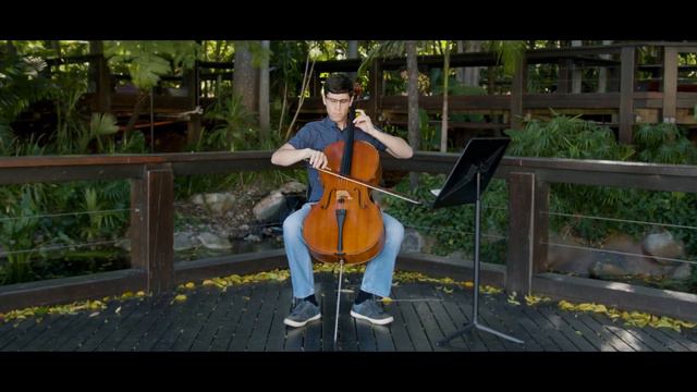 Danny Boy (arr. Young) [cello ensemble] смотреть онлайн