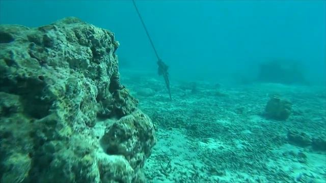 Plongée à Moorea смотреть онлайн