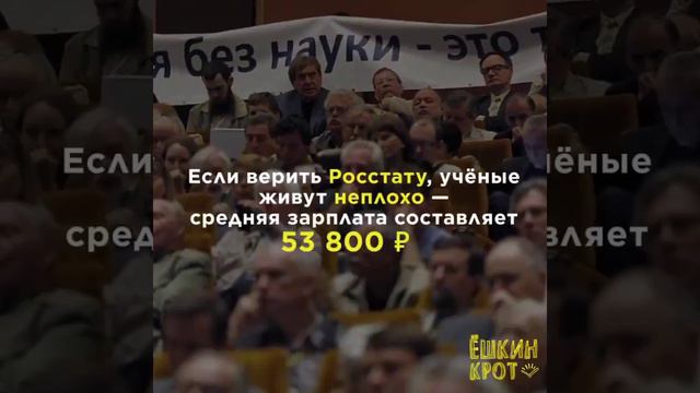Потому что при вставании с колен умничать не обязательно... смотреть онлайн