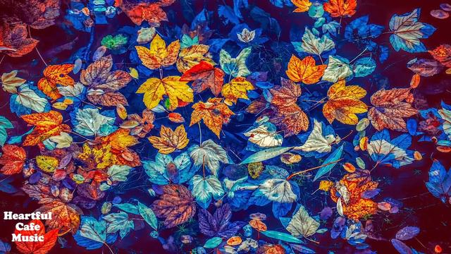 Lounge Jazz Piano collection Vol.2【For Work / Study】relaxing BGM, Instrumental, Heartful Cafe Music смотреть онлайн