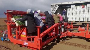 СЕЛЬСКОХОЗЯЙСТВЕННАЯ ТЕХНИКА для детей + БОНУС