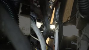 Где находится номер двигателя Renault Kangoo 1,9 F8Q