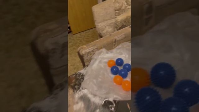 Хаски и шарики для стирки смотреть онлайн