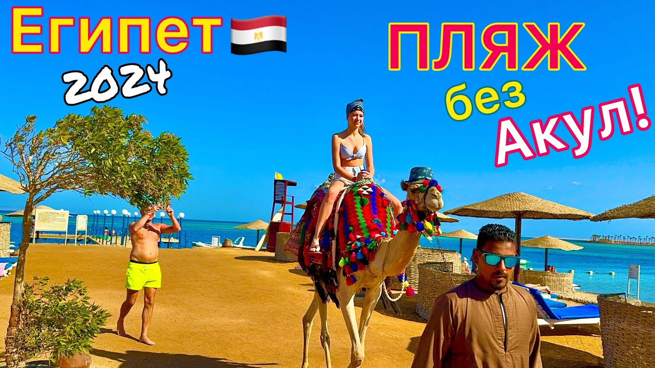 Отдых в Хургаде Без Акул. Пляж-сюрприз в отеле Sea Star Beau Rivage 5* Хургада Египет 2024 смотреть онлайн