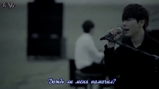 Park Hyo Shin – Wild Flower 야생화 [rus sub] смотреть онлайн