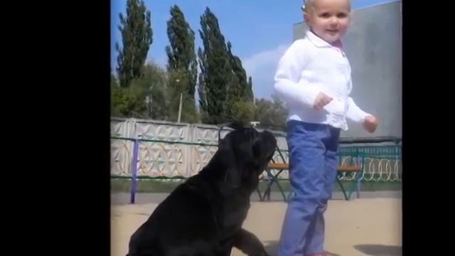 К маленькому ДР моей малышки Армада Голд Шаи!!! смотреть онлайн