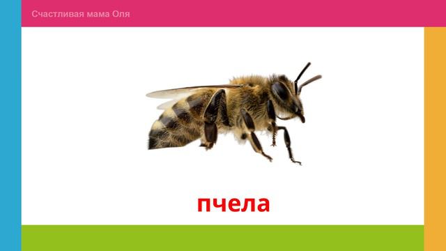 Учим слова Животные фермы смотреть онлайн