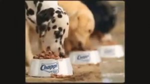 Реклама собачьего корма Chapping