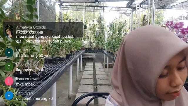 CUCI GUDANG DENDROBIUM KRITING DAN ANGBUL PREMIUM dan Eps. 251 || CS : 082 330 232 348 смотреть онлайн