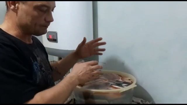 Процесс засолки и сушка рыбы Красноперка - Угай смотреть онлайн