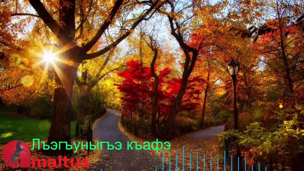 Лъагъуныгъэ къафэ [Amaltus] смотреть онлайн