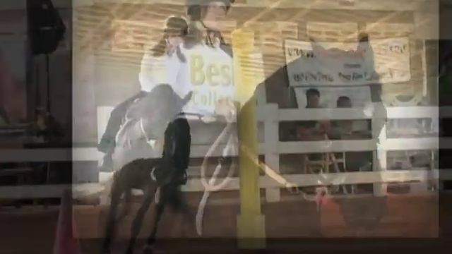 PASO FINO GRAND PRIX HORSE SHOW - FLORIDA
