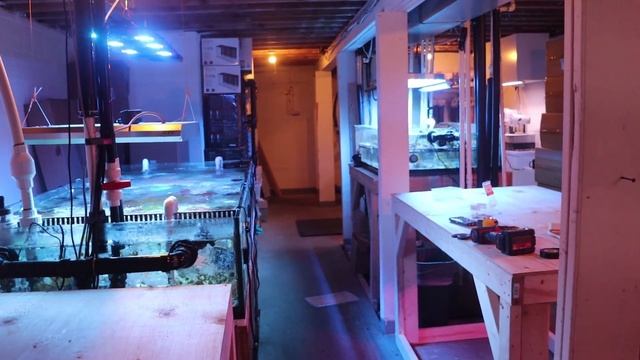 New Frag Tank Build Episode 1 смотреть онлайн