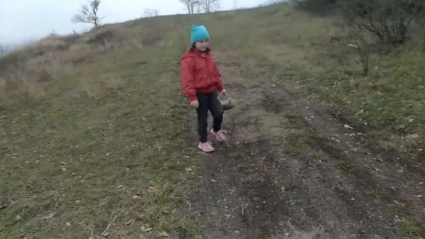 в лес по грибы 2021