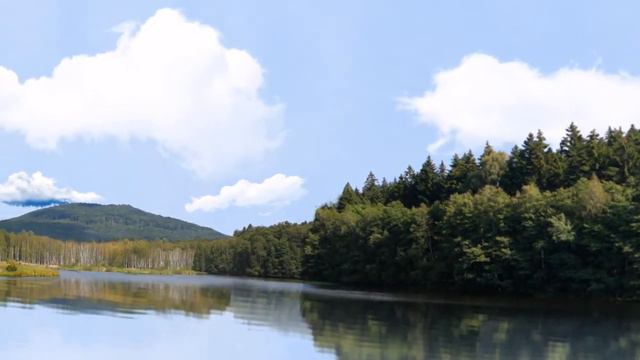 панорама смотреть онлайн