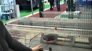 Клетка для промышленного содержания кроликов Contro Fratelli