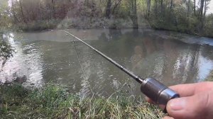 Мормышинг. Как найти и поймать хариуса на осенней рыбалке