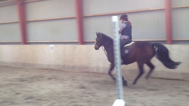 kasmina og ronja. смотреть онлайн