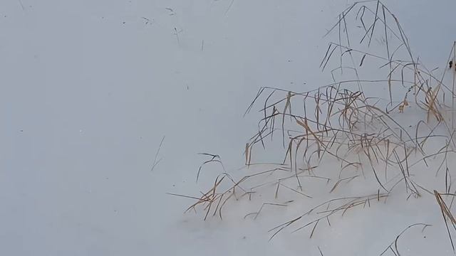 Пусть в каждом дне будут чудесные мгновения, удивляющие нас... смотреть онлайн