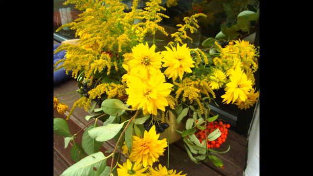 Мария Титенко Вслед уходящему лету. смотреть онлайн