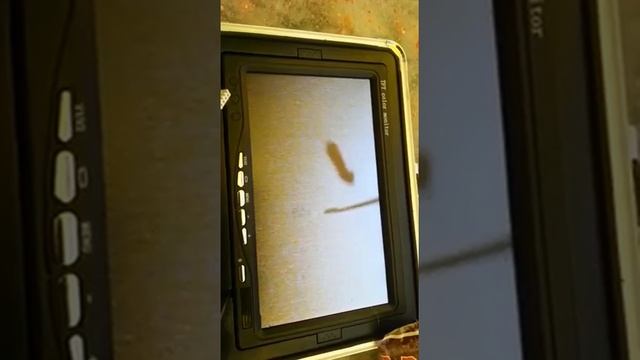 рыбалка на сухарке 2 смотреть онлайн