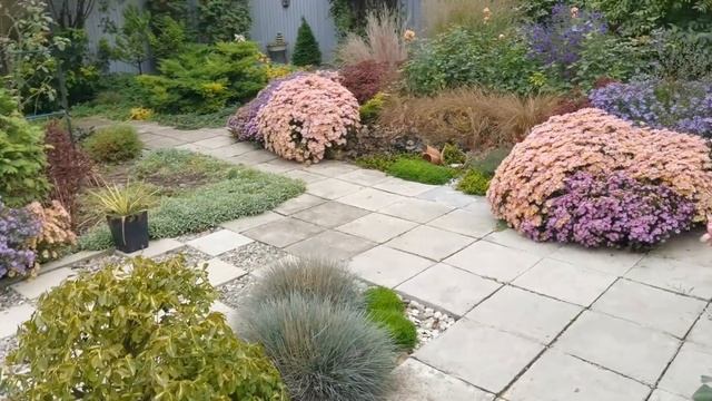 Хвойные в моём саду, все названия подписаны. Новые арт объекты и прогулка по саду. смотреть онлайн