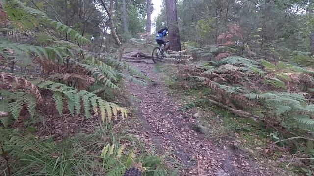 Teaser Raid des 3 Forets смотреть онлайн
