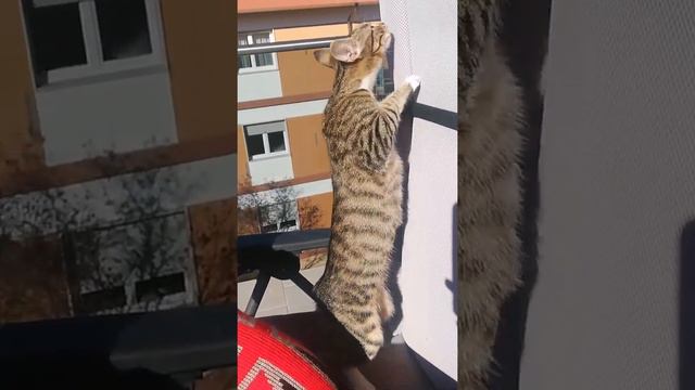 OMG! VALENTINE DAY 🤷♀️ смотреть онлайн