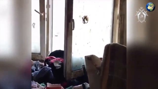 Видео из Московской квартиры где обнаружили девочке-маугли смотреть онлайн