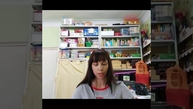 "Роль книги в жизни ребенка дошкольного возраста с ОВЗ" смотреть онлайн