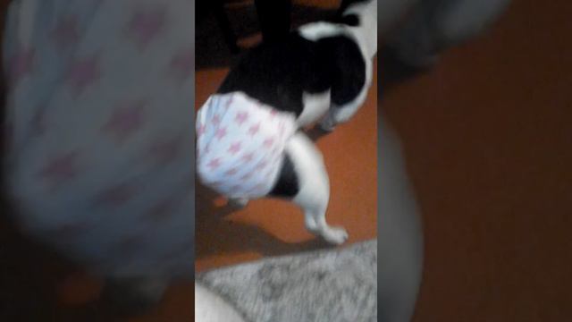 Писала где не нужно было этого делать. смотреть онлайн