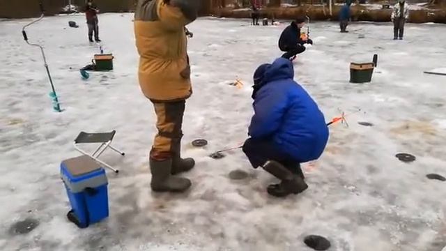 Помощь в нашем деле важна смотреть онлайн