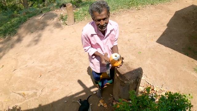 Шри-Ланка своим ходом. Серия 4.1. 2Kota на горе Элла-рок. смотреть онлайн
