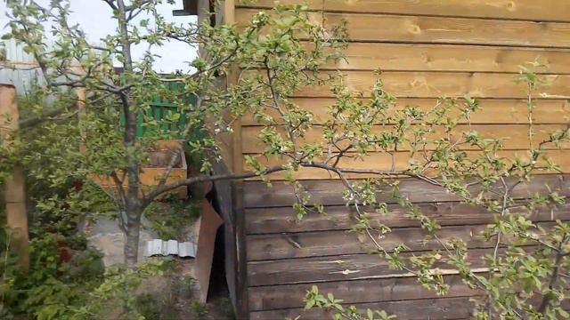 Начало мая на даче. Первые хлопоты. смотреть онлайн